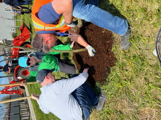 Community tree planting